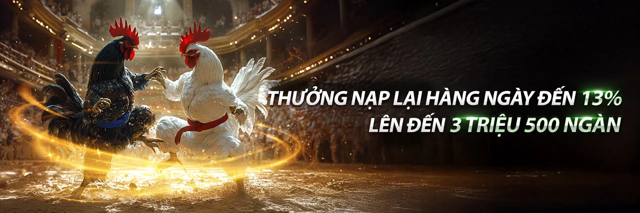 Đá Gà Trực Tuyến gamang123 2026